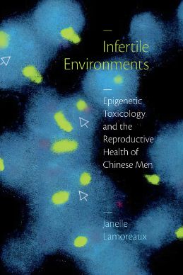 infertile Environments: Epigenetic Toxicology and the Reproductive Health of Chinese Men cover